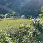 Petriti 4*