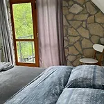 Petriti 4*
