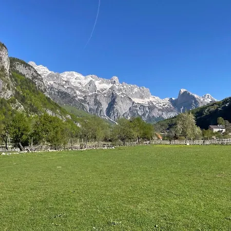 Πανσιόν Petriti