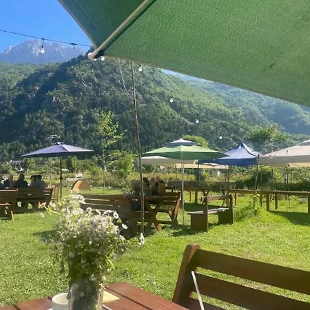 Petriti Πανσιόν 4*