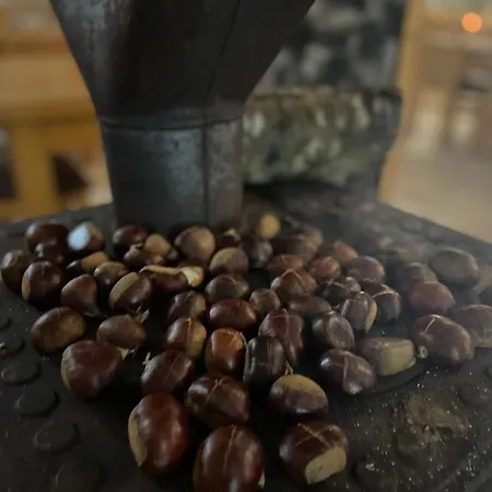 Petriti Πανσιόν Theth