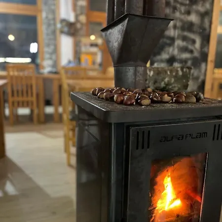 Πανσιόν Petriti