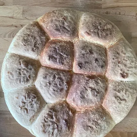 Petriti 게스트하우스 세스