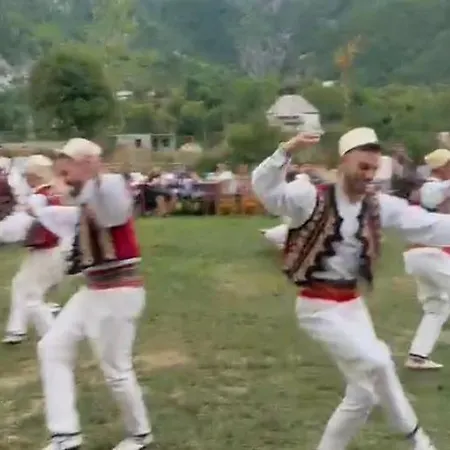 Petriti