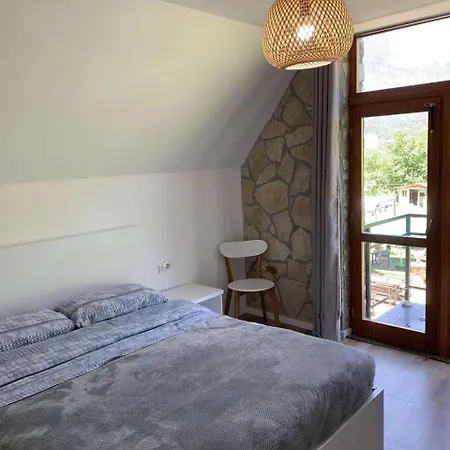 Πανσιόν Petriti Theth