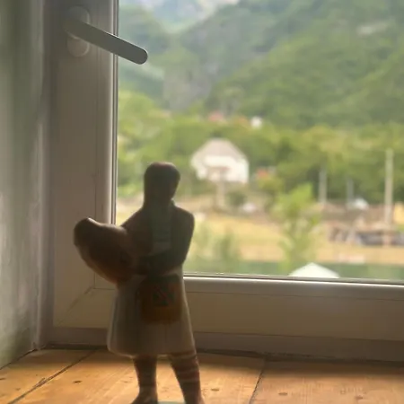 Petriti 게스트하우스