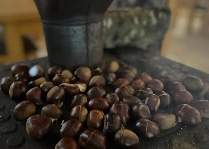 Petriti Guest house Theth