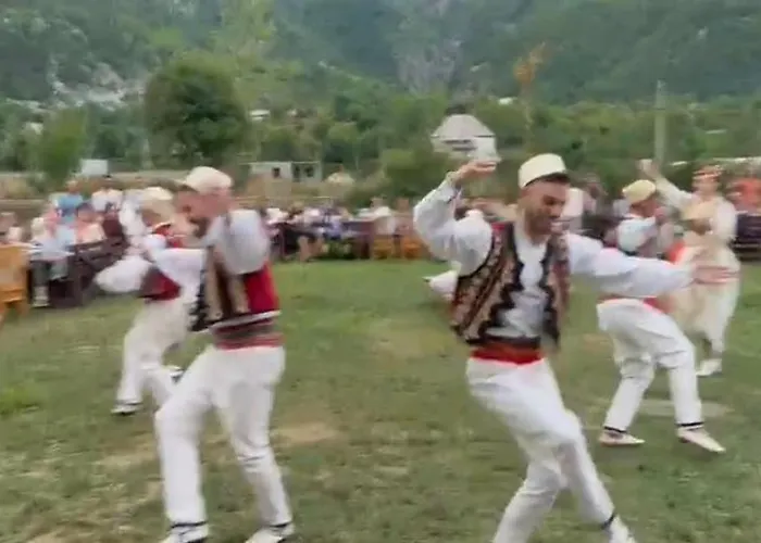 Petriti