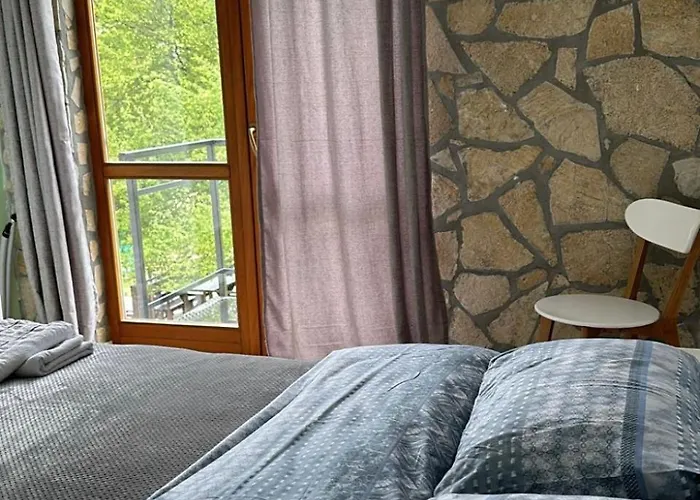 Petriti 4*