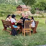 Petriti