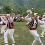 Petriti