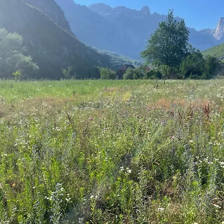 Petriti בית הארחה טת