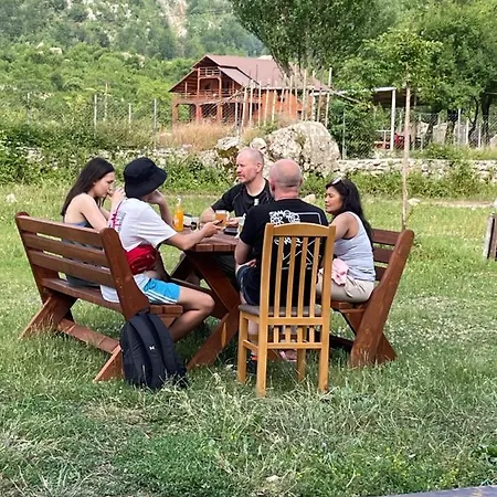 Petriti
