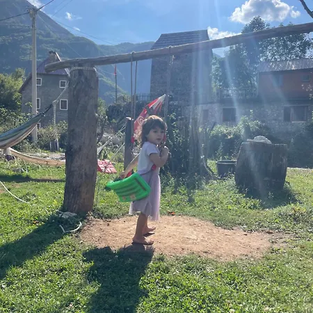 Petriti בית הארחה