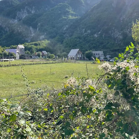 Petriti 4*