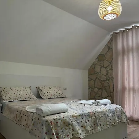 Petriti *