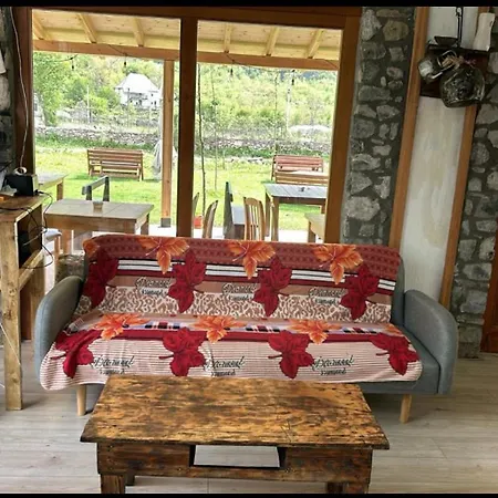 Petriti Guest house *
