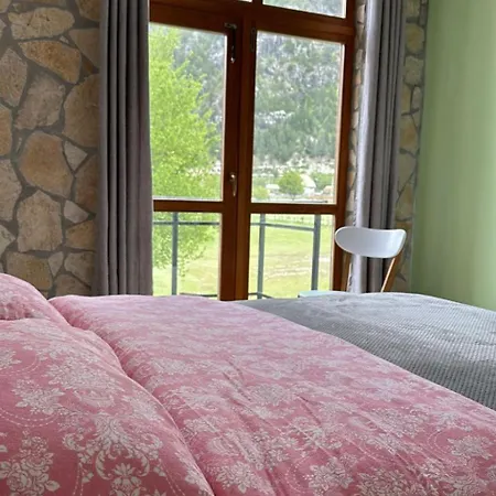 Petriti Guest house *