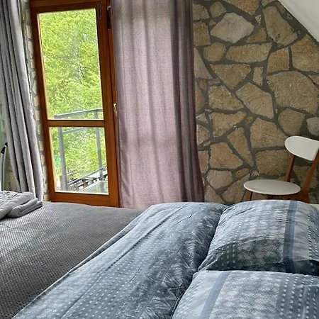 Petriti 4*