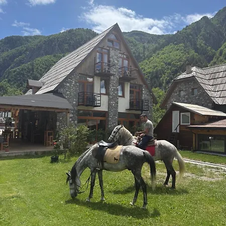 Casa de hóspedes Petriti 4*