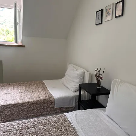 Casa de hóspedes Petriti 4*