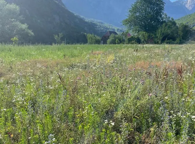 Petriti Penzion Theth